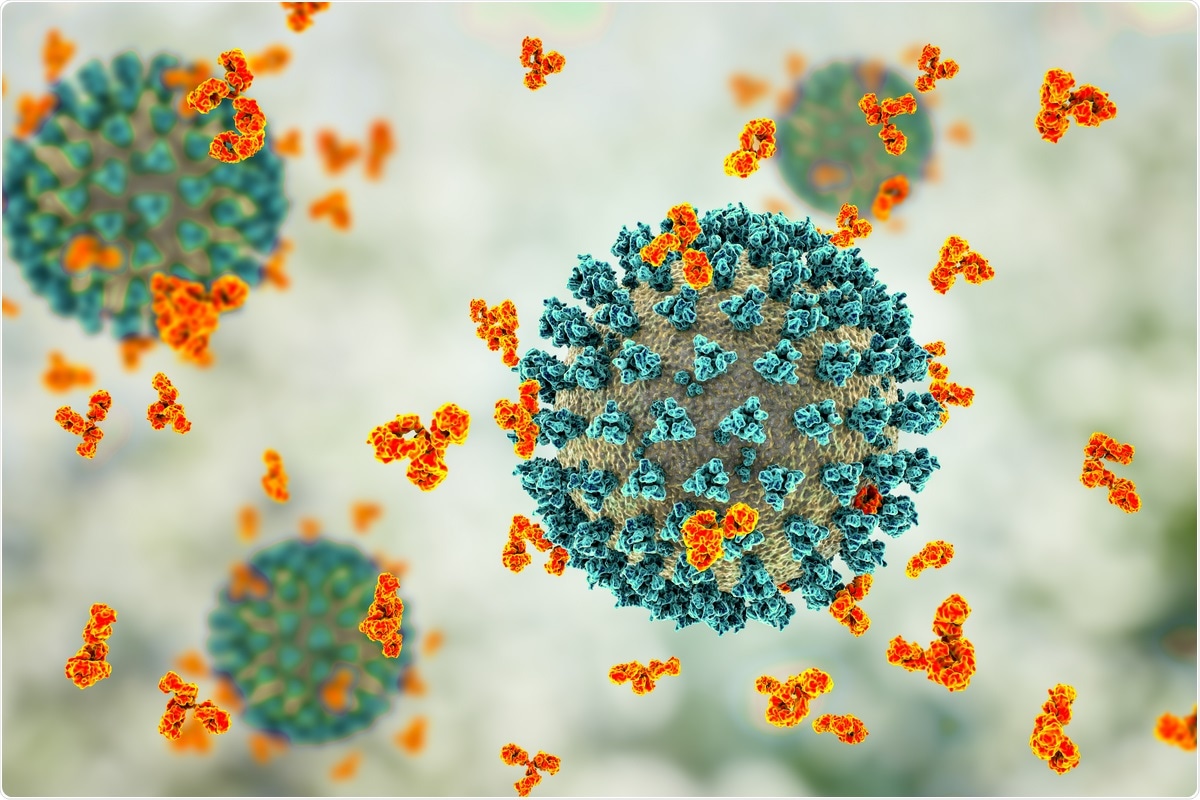 Study: Humoral response to SARS-CoV-2 and seasonal coronaviruses in COVID-19 patients. Image Credit: Kateryna Kon/ Shutterstock