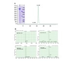Creating afucosylated antibodies with increased antibody-dependent cellular cytotoxicity (ADCC)