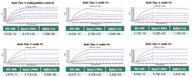Anti-Tim-3 Monoclonal Antibody Affinity as Assessed with BLI.
