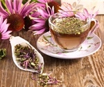 Echinacea purpurea may help prevent respiratory tract infections during COVID-19 pandemic