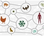 Investigating the zoonotic adaptation and anthropozoonotic transmission of SARS-CoV-2