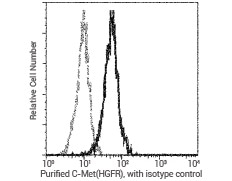 Flow Cytometric Analysis of Human c-Met Expression on HepG2 Cells—10692-R243. Cells were stained with purified anti-Human c-Met, second antibody conjugated with FITC.