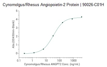 Binding ability measured by ELISA. Immobilized Rhesus TIE2 His (Cat: 90292-C08H) at 2 µg/mL (100 µL/well) can bind Cynomolgus, Rhesus Angiopoietin-2. The EC50 is 6.0-48.0 ng/mL.