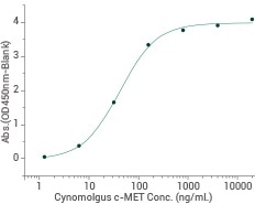 Cynomolgus c-MET Protein—90304-C08H. Binding ability measured by ELISA. Immobilized human HGF (Cat: 10463-HNAS) at 10 µg/mL (100 µL/well) can bind canine c-MET. The EC50 is 7 ng/mL.