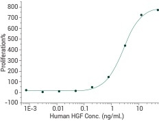 Human HGF Protein—10463-HNAS. Ability to neutralize TGF-beta mediated inhibition on Mv-1-Lu cell proliferation. The ED50 is typically 0.5–5 ng/mL.