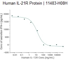 Ability to inhibit IL-21-induced Interferon gamma secretion by human natural killer lymphoma NK-92 cells.