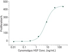 Cynomolgus HGF Protein—90286-CNAH. Ability to inhibit TGFβ1 activity on Mv-1-lu mink lung epithelial cells. The ED50 is typically 2–10 ng/mL.
