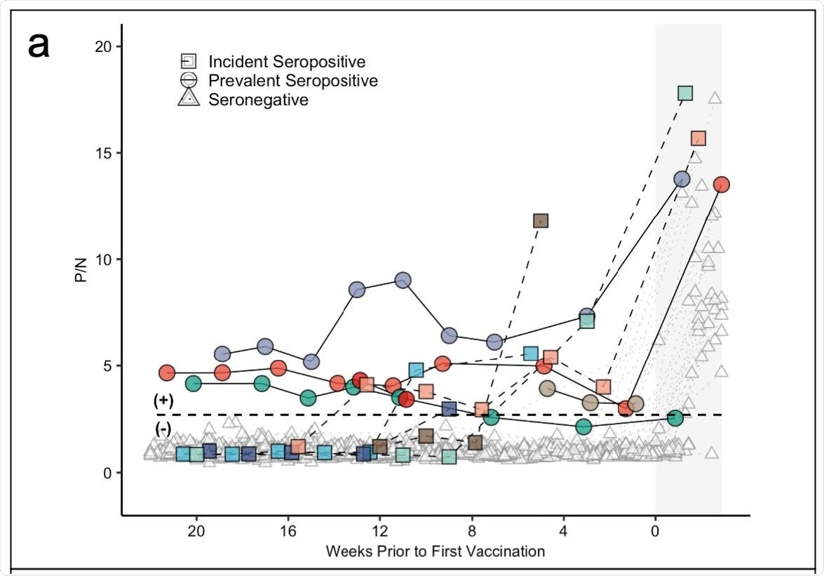 Panel (a) demonstrates antibody levels over time in SARS-CoV-2 seronegative (triangles) and seropositive individuals, including those who were seropositive at enrollment (prevalent seropositive, circles) and those who became seropositive during follow-up (incident seropositive, squares). The dotted line is a P/N ratio of 2.57, the cut-off associated with 99.5% specificity (SARS-CoV-2 Ig-positive above the line, Ig-negative below). The x-axis represents weeks to first vaccine dose; values post-vaccine 1 are shaded.