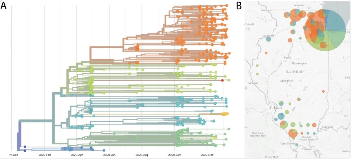 Visualizzazione di Nextstrain e visualizzazione filogenetiche della mappa delle sequenze del genoma SARS-CoV-2. (A) Albero filogenetico generato dalla conduttura di Nextstrain. Le sequenze sono derivate dall