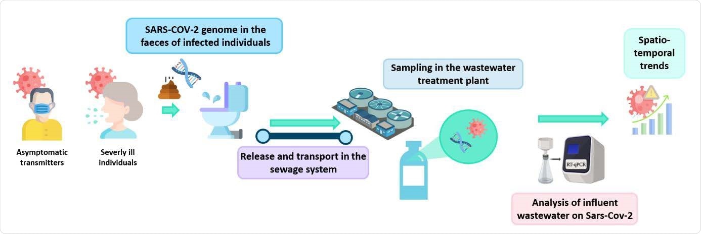 Vista geral esquemática da fiscalização da água de esgoto para determinar a circulação SARS-CoV-2 na população geral.