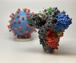Researchers develop self-assembling nanoparticle SARS-CoV-2 vaccines