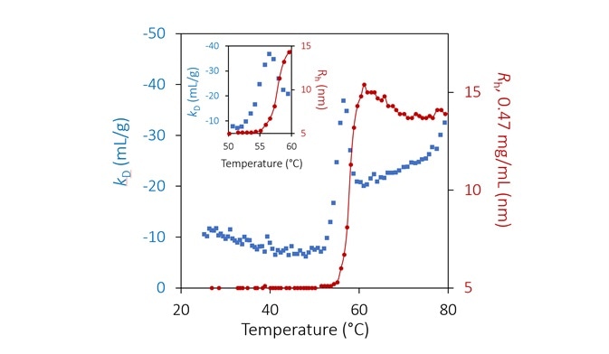 Diffusion interaction parameter (blue diamonds, left axis) and radius (red circles and solid line, right inverted axis) at lowest concentration as a function of temperature at pH 9.5. Inset: same, highlighting the transition region.