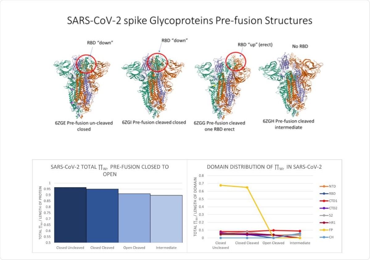 Top: From left to right, snapshots of SARS-CoV-2 pre-fusion protein at four stages: uncleaved closed (6ZGE), cleaved closed (6ZGI), cleaved open (6ZGG) and intermediate (6ZGH). The RBD is circled in red. Bottom Left: The normalized total local Wr for SARS-CoV-2 protein at the 4 pre-fusion stages. Bottom Right: The normalized total local Wr-values for SARS-CoV-2 protein domains at the 4 pre-fusion stages. Crystal structure images were pulled from the Protein Data Bank.