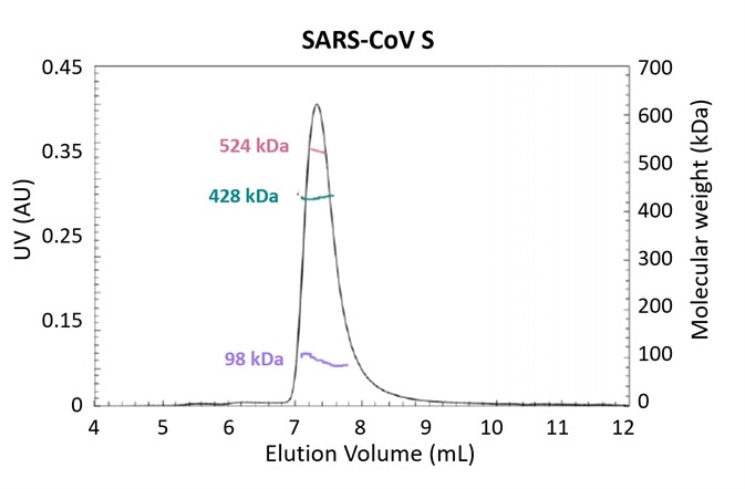 Glycosylation is one strategy employed by pathogens to evade the immune system. Using the MALS-UV-RI Protein Conjugate Analysis method to distinguish between the total proteinaceous molar mass and that of glycans, total glycan content in both SARS-CoV and MERS-CoV spike protein is found to be ~25% by mass.