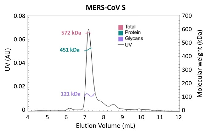 Glycosylation is one strategy employed by pathogens to evade the immune system. Using the MALS-UV-RI Protein Conjugate Analysis method to distinguish between the total proteinaceous molar mass and that of glycans, total glycan content in both SARS-CoV and MERS-CoV spike protein is found to be ~25% by mass. Adapted from Walls, et al.3 with permission.
