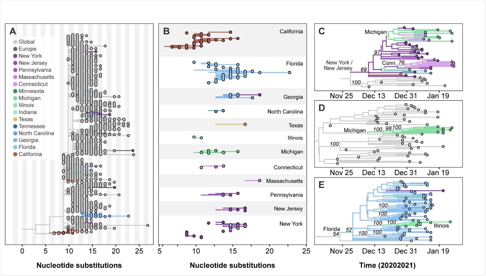 Multiple introductions, domestic spread, and community transmission of B.1.1.7 SARS-CoV-2 in the United States. A. Maximum likelihood phylogeny of B.1.1.7, including representative genomes from the US, Europe, other global locations. B. Highlights of singletons and clades representing direct introductions of B.1.1.7 from Europe, into distinct regions of the US, based on the same phylogenetic tree shown in (A). A list of the Europe to US transitions can be found in Data S1. C-E. Time-informed maximum likelihood phylogeny of distinct B.1.1.7 clades showing instances of domestic spread (C,E) and/or community transmission within New York (C), Connecticut (C), Michigan (C,D), and Illinois (E). The list of SARS-CoV-2 sequences used in this study and author acknowledgements can be found in Data S2.