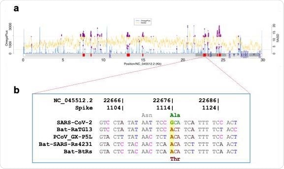Fig 1. Selective sweeps analysis. (a) Selective sweep regions (shown as red blocks) id entified in 182,792 SARSSARS-CoVCoV-2 genomes, using OmegaPlus (blue lines) and RAiSD (yellow lines). The common outliers (0.05 cutoff, purple dots) from the two methods were used to define selective sweep regions. (b) Non Non-synonymous difference (Thr372Ala) betwee n SARS SARS-CoVCoV-2 and four other Sarbecovirus members found in the putative selective sweep region (22,529 22,529-22,862).