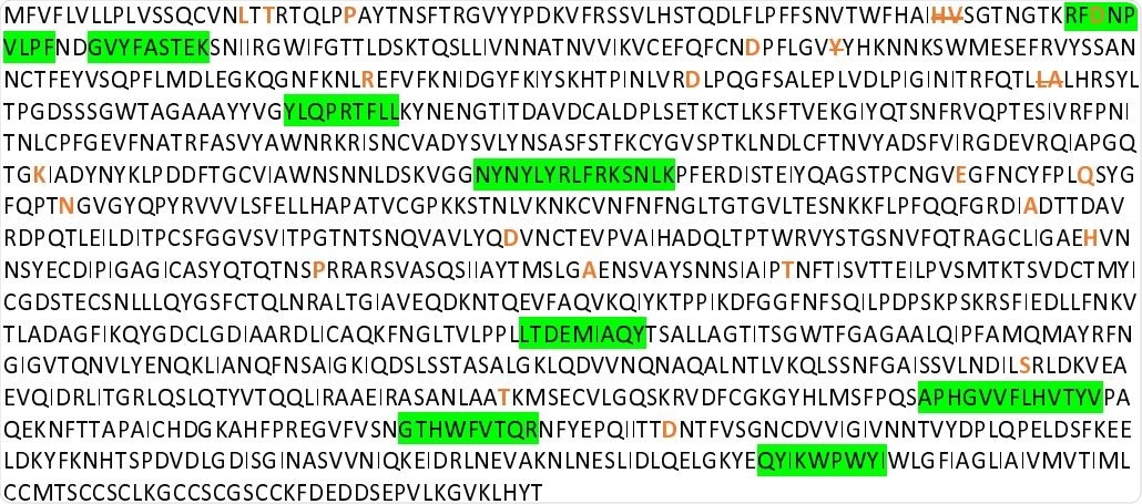 SARS-CoV-2 Wuhan variant Spike protein amino acid sequence with CD8+ T cell epitopes highlighted in green, and all mutation and deletion sites (slash) indicated in bold orange.
