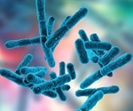 Probiotics may be beneficial in COVID-19 treatment