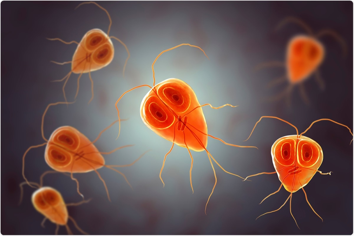 Study: Effect of co-infection with parasites on severity of COVID-19. Image Credit: Kateryna Kon / Shutterstock
