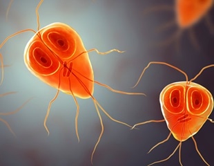 Giardia infection long term effects