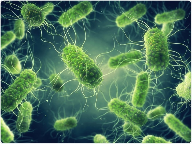 Pathogenic Salmonella bacteria. Image Credit: nobeastsofierce / Shutterstock