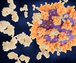 SARS-CoV-2 South Africa and Brazil variants show resistance to therapeutic antibodies