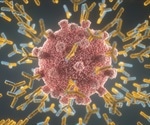 Differences in immune response to SARS-CoV-2 determine disease severity, study finds