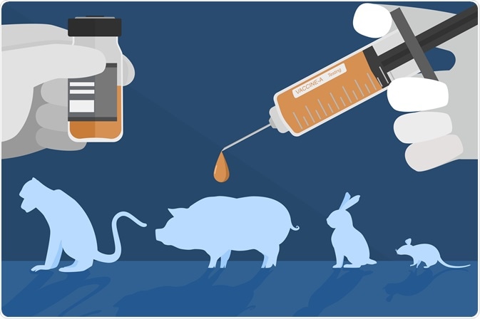 The Ethics of Animal Models in Preclinical Testing
