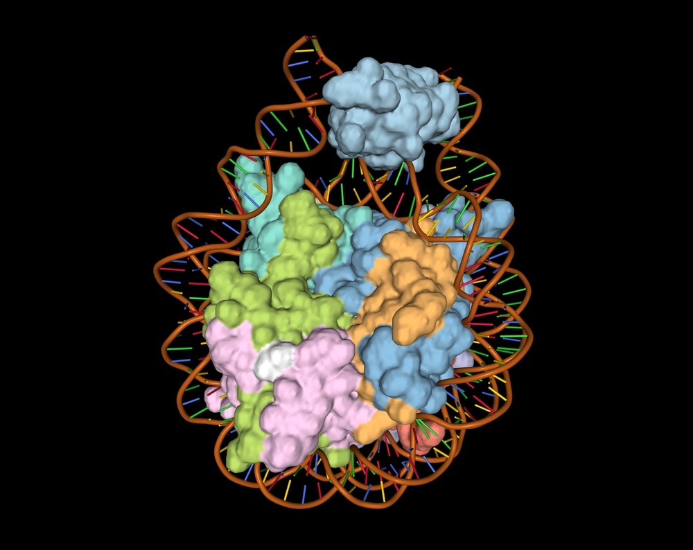 DNA-histone complex