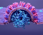 Researchers explain SARS-CoV-2's replication-transcription complex