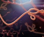 What is Ebola Virus Disease?