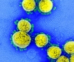 Nanobody works against all SARS-CoV-2 variants of concern in animal model