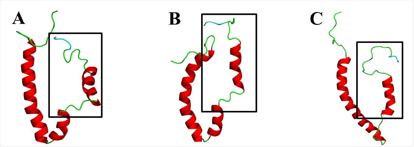 Cartoon representation of the three-dimensional (3D) models of the envelope (E) protein of the more virulent hCoVs. A. SARS-CoV E. B. SARS-CoV-2 E. C. MERS-CoV E. Models were generated using MODELLER software and based on two nuclear magnetic resonance (NMR)-resolved structures for SARS-CoV E (PDBID: 5x29 and PDBID: 2mm4) obtained from the protein data bank (PDB) (Eswar, et al., 2008; Li, et al., 2014; Sali and Blundell, 1993; Surya, et al., 2018). Models of the SARS-CoV and SARS-CoV-2 E proteins were generated from the 5x29 template, whereas the MERS-CoV E protein was generated from 2mm4 template. The PDZ-binding motif (PBM) is coloured in cyan and the squared region shows the variable C-terminal domain.