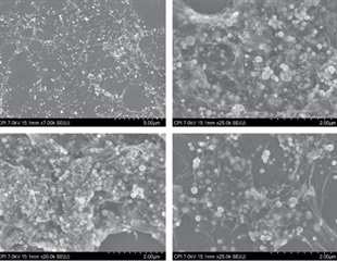 Graphene oxide-silver nanoparticles shown to rapidly neutralize RNA viruses