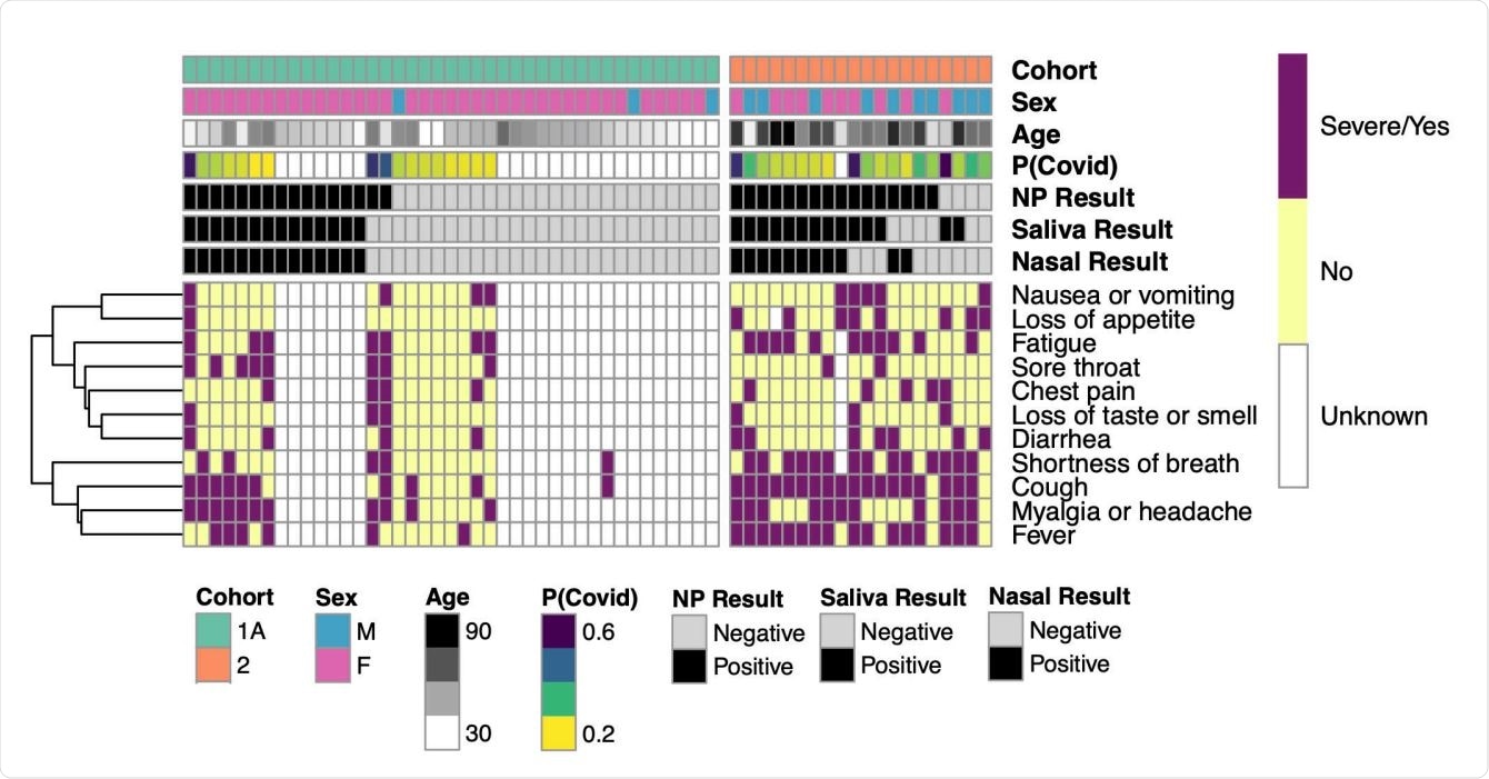 : Symptom heat-map for agreement between positive and negative test results by test method and cohort. Heat map columns are participants and rows are symptoms. Symptom presence is indicated as either severe or yes (purple), no (yellow), or unknown (white). Symptoms are clustered by similarity and clustering is indicated by the dendrogram (left). Test results are indicated by color as either positive (black) or negative (light grey). Each participant’s calculated probability of COVID-19 (P(COVID)) is indicated with higher probabilities shown in purple and lower probabilities in yellow. Participant sex, age, and cohort are also indicated.