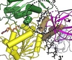 Identifying druggable targets on an essential SARS-CoV-2 protein
