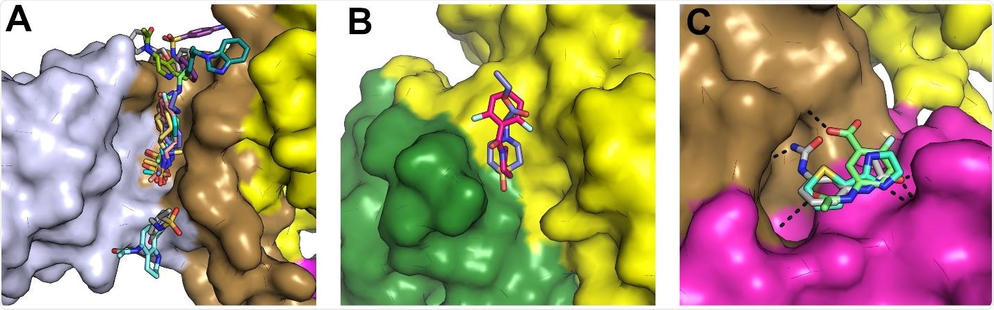 Fragments bound on the interfaces between domains that appear to move as part of the catalytic cycle and thus may be starting points for allosteric inhibitor design. (A) Surface view of a prominent fragment binding site which bound to 11 fragments in a cleft between the Zinc and Stalk domains with the domains colored individually as for the color scheme in Fig1. (B) Two fragments were observed to bind in a cleft between the 1A and 2A domains approximately opposite the hinge. (C) Three fragments were bound in a shallow pocket between the Stalk and 1B domain (also close to the RNA interface) and make polar contacts to both regions.