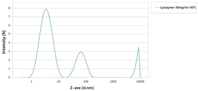 Size distribution of 30 mg/mL lysozyme at 56 ℃.