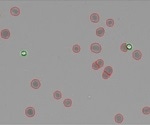 Using CellDrop to Count Isolated Nuclei