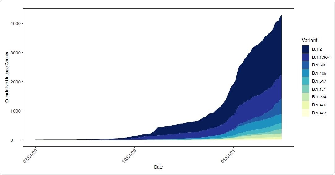 Changing frequency of B.1.526 and other lineages in New York State. The number of genomes assigned to select SARS-CoV-2 lineages circulating in New York State as a function of time. Only lineages with 10 or more genomes from samples collected within the past 14 days were included.