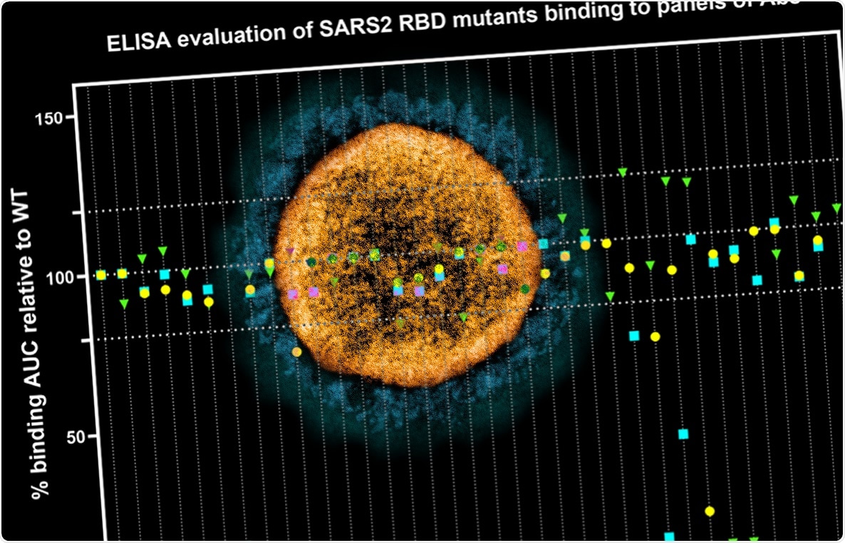 Estudio: neutralización de mutaciones del SARS-CoV-2 en Europa, Sudáfrica y Estados Unidos mediante anticuerpos humanos y dominios de anticuerpos