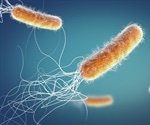 What is the Global Preclinical Antibacterial Pipeline?