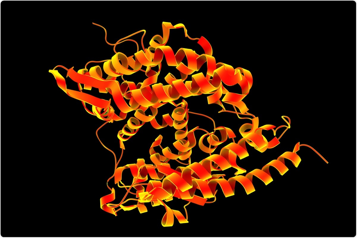 ACE2 receptor humano, ejemplo 3D. Haber de imagen: Kateryna Kon/Shutterstock