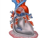 What is the Pericardium?