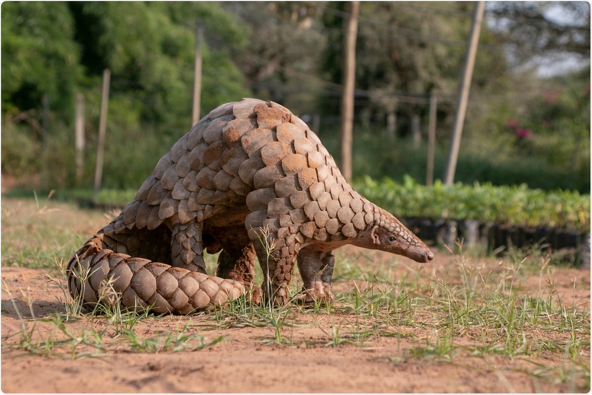 Study: Characterisation of B.1.1.7 and Pangolin coronavirus spike provides insights on the evolutionary trajectory of SARS-CoV-2. Image Credit: Vickey Chauhan / Shutterstock