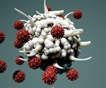 SARS-CoV-2 can cause persistent dendritic cell deficiencies
