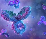 Neutralizing antibodies may be evolving to keep up with SARS-CoV-2 mutations