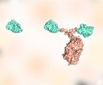 Neutralizing nanobodies effective against SARS-CoV-2 variants