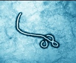 Ebola Virus Epidemiology